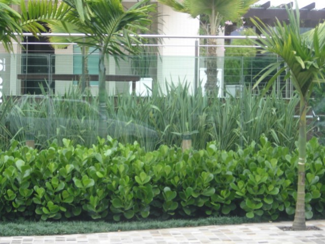 Sandai Vidros Temperados